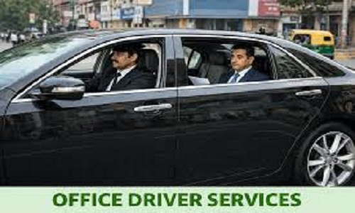 Car driver2